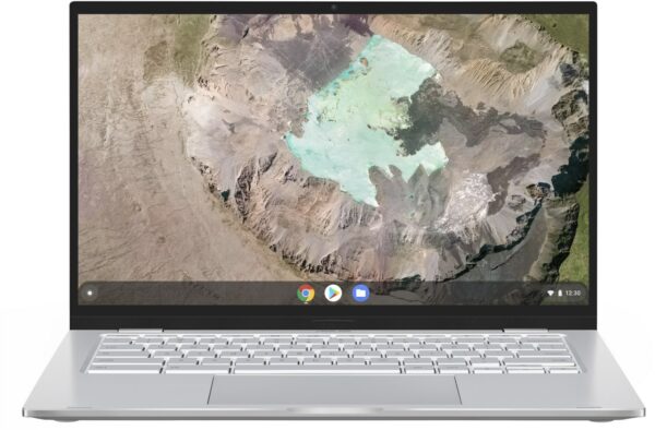 Asus Chromebook C425TA-AJ0293 35