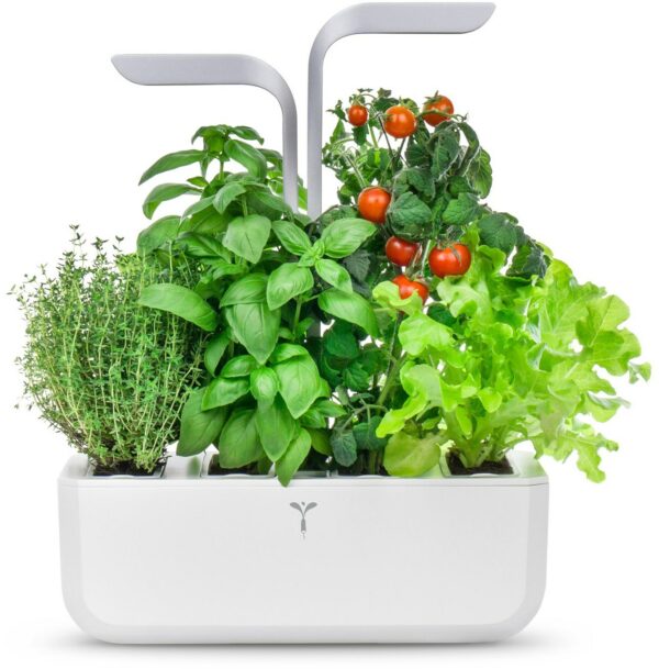 Véritable Smart inkl. 4 Packs Indoor-Garten weiß