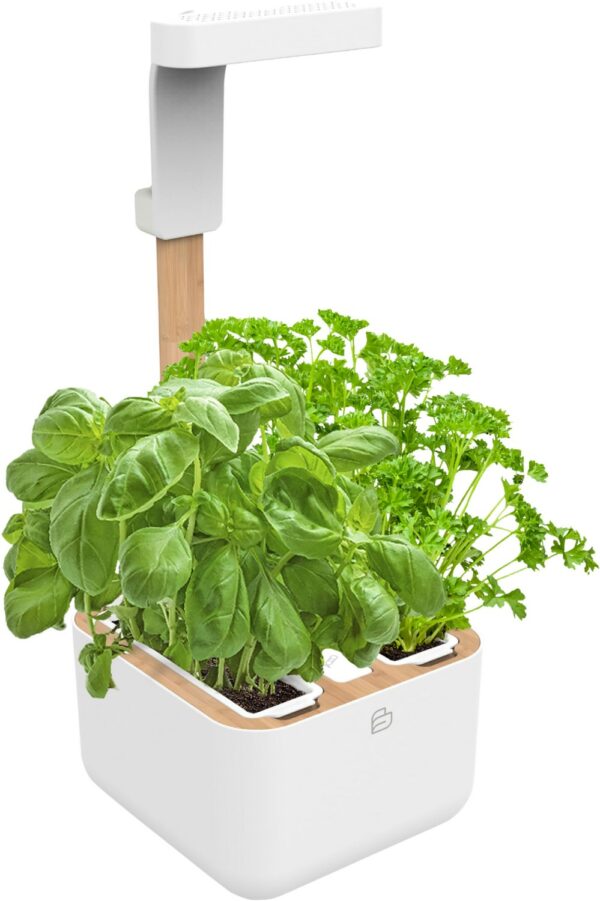 BOTANEO Eylo inkl. 2 Packs Indoor-Garten weiß