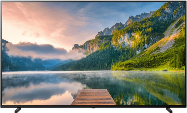 Panasonic TX-65JXW834 164 cm (65") LCD-TV mit LED-Technik schwarz / G