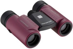 Olympus Slim 8x21 RC II WP Fernglas Magenta